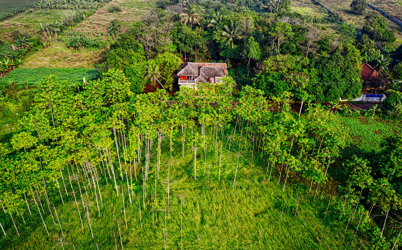 2000-x–1245-background-photo (1)